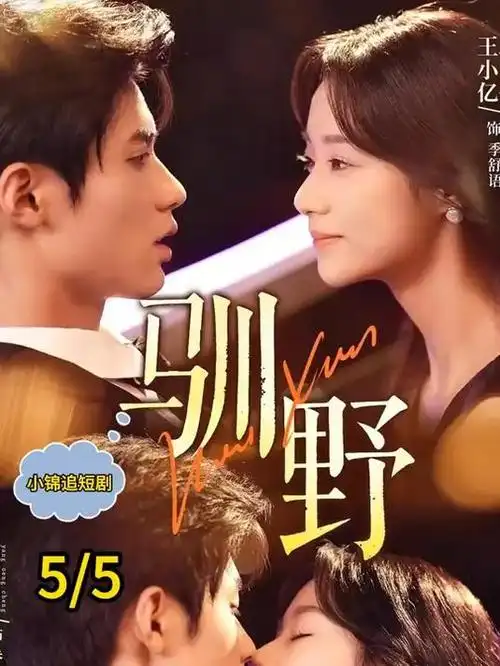 黑暗荣耀